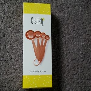 Giadzy Measuring Spoons